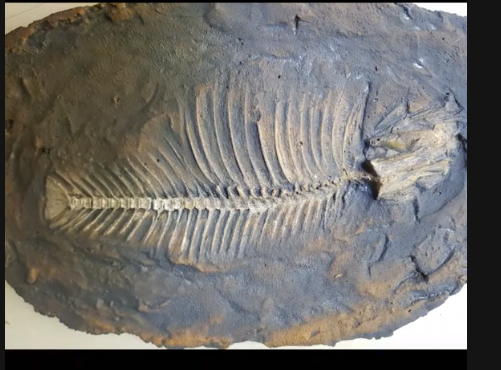 keo-do-khuon-tao-hinh-betong.png (298 KB)