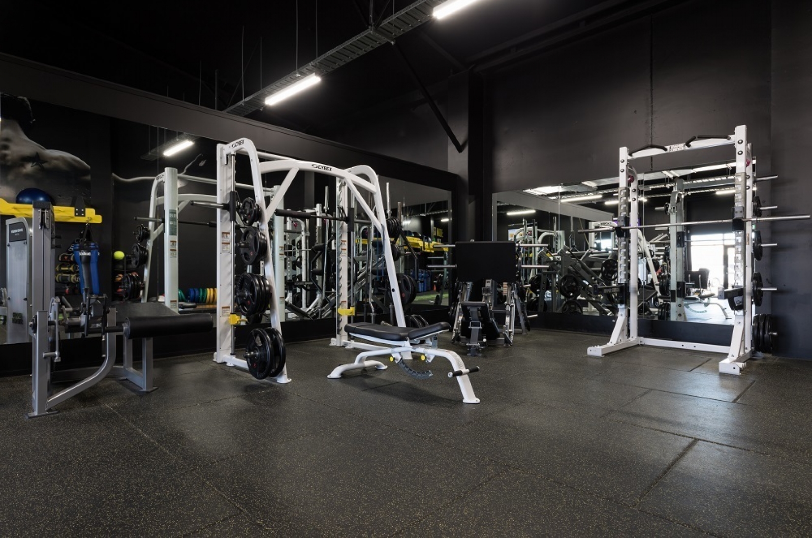 Neoflex-Premium-Gym-Tiles.jpg (1.07 MB)