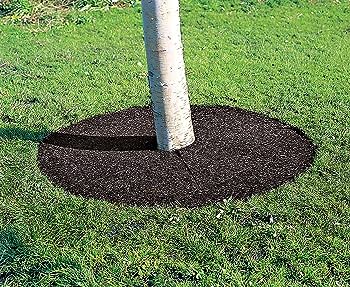 RUBBERIFIC-TREE-RING-VN.jpg (49 KB)