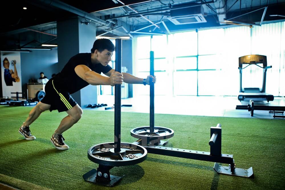 Cỏ nhân tạo phòng gym