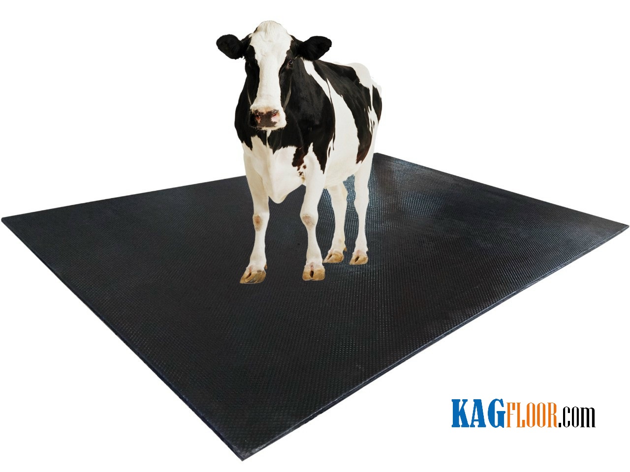 Tấm cao su KM008 lót sàn bò sữa 1,8m x 1,2m dày 15mm 